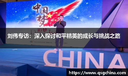 刘伟专访：深入探讨和平精英的成长与挑战之路